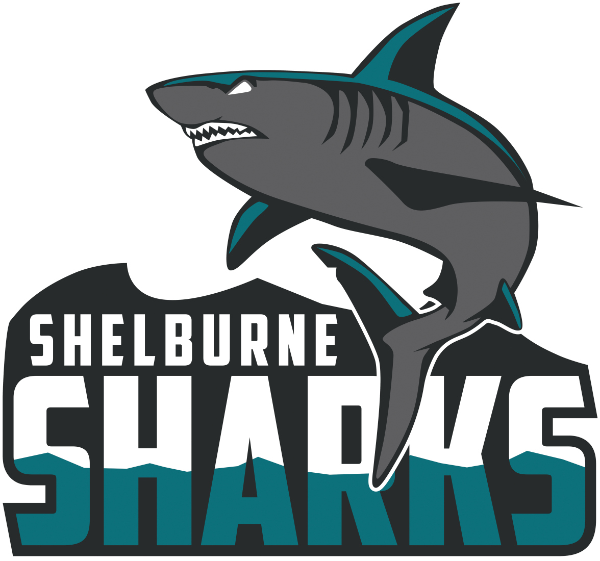 Shelburne Sharks 2015-Pres Primary Logo iron on transfers for T-shirts